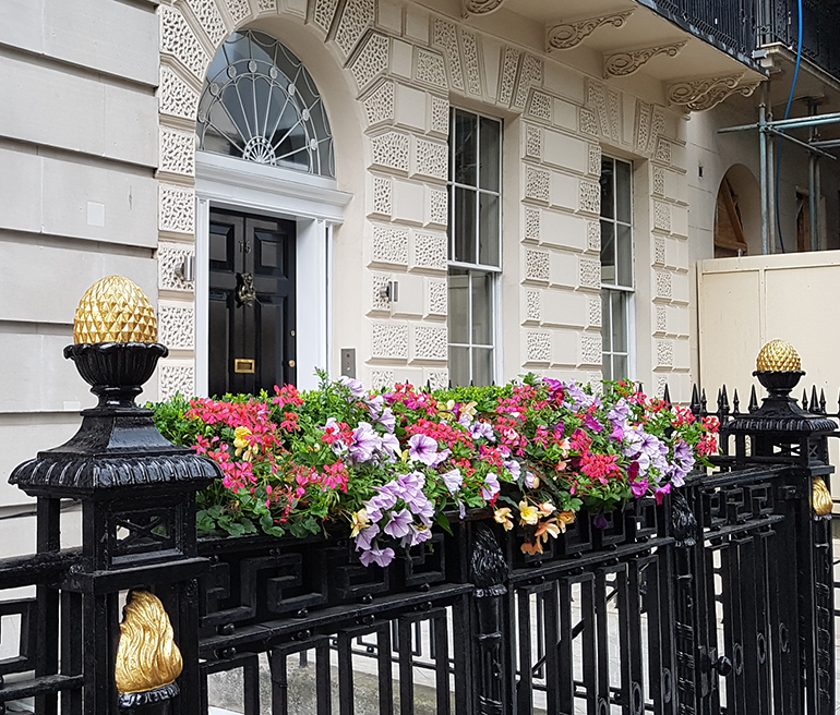 Hanging Basket Service London UK