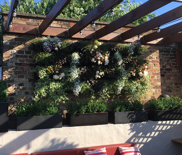 Hanging Basket Maintenance London UK
