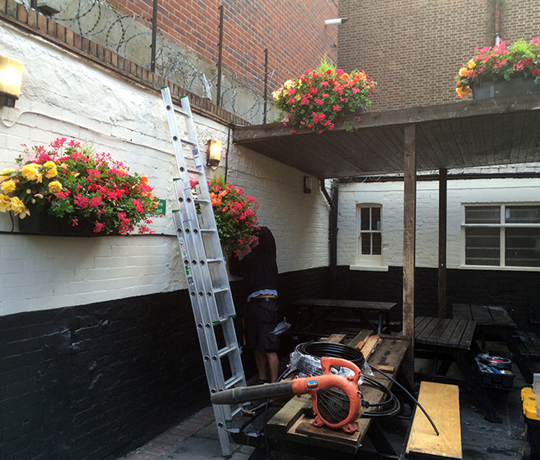 Hanging Basket Maintenance Service London UK